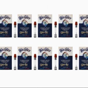 PACK 10 CARTUCHOS BIG CHIEF– SELECCION EXCLUSIVA DE SABORES